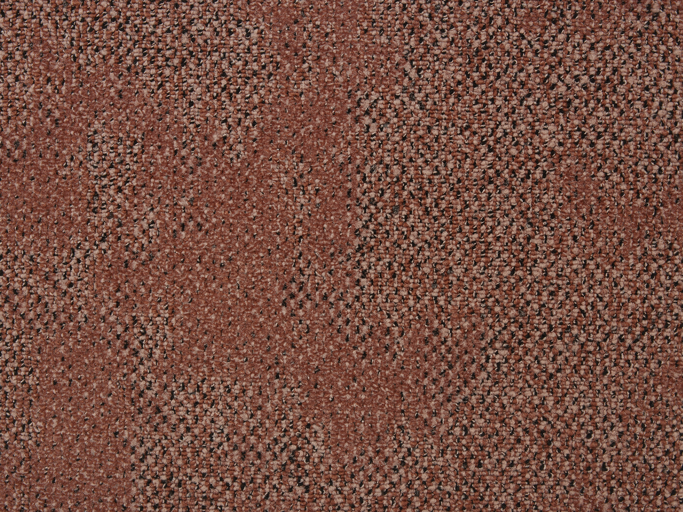 Boro - Image 16