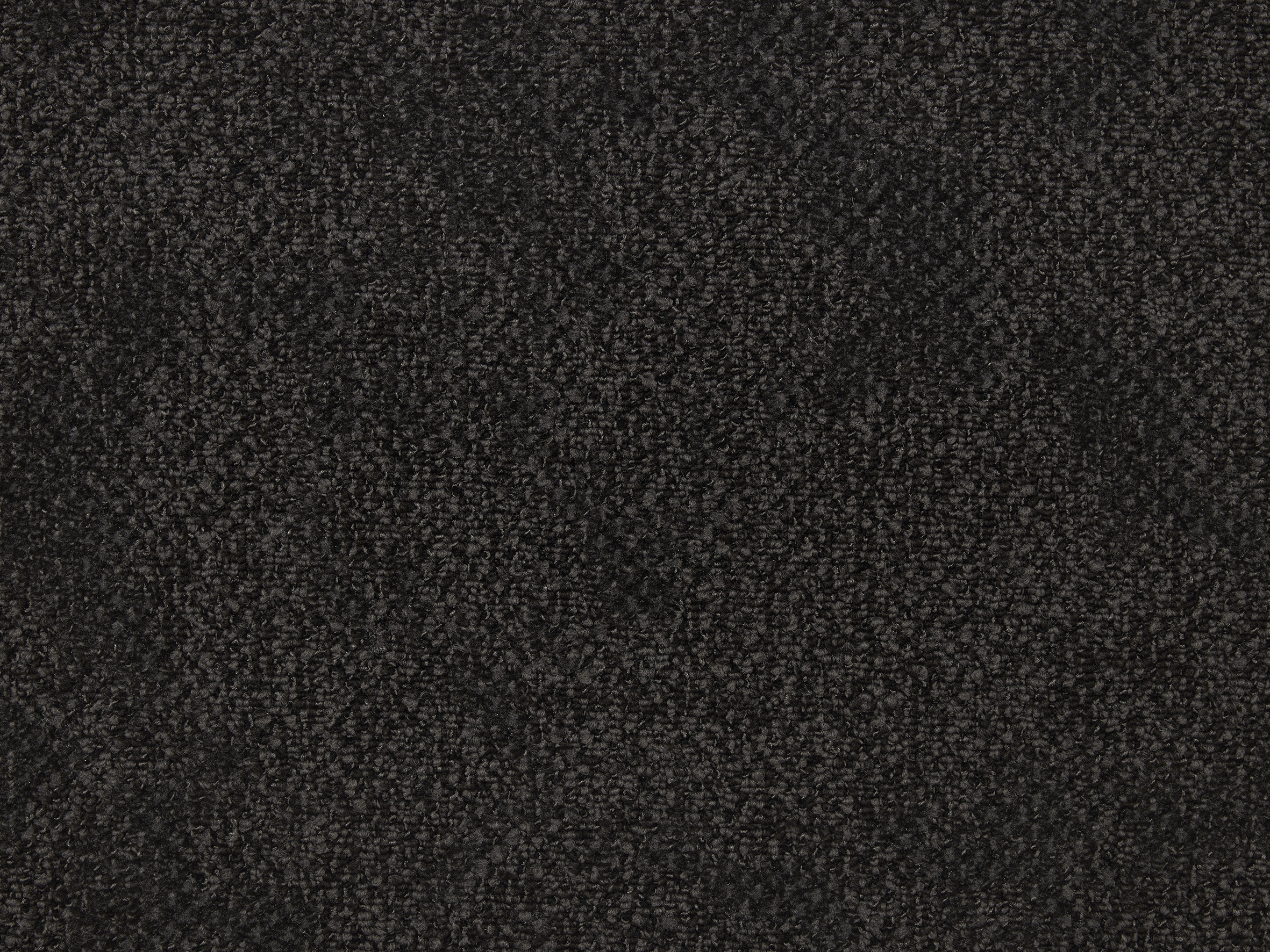 Boro - Image 15