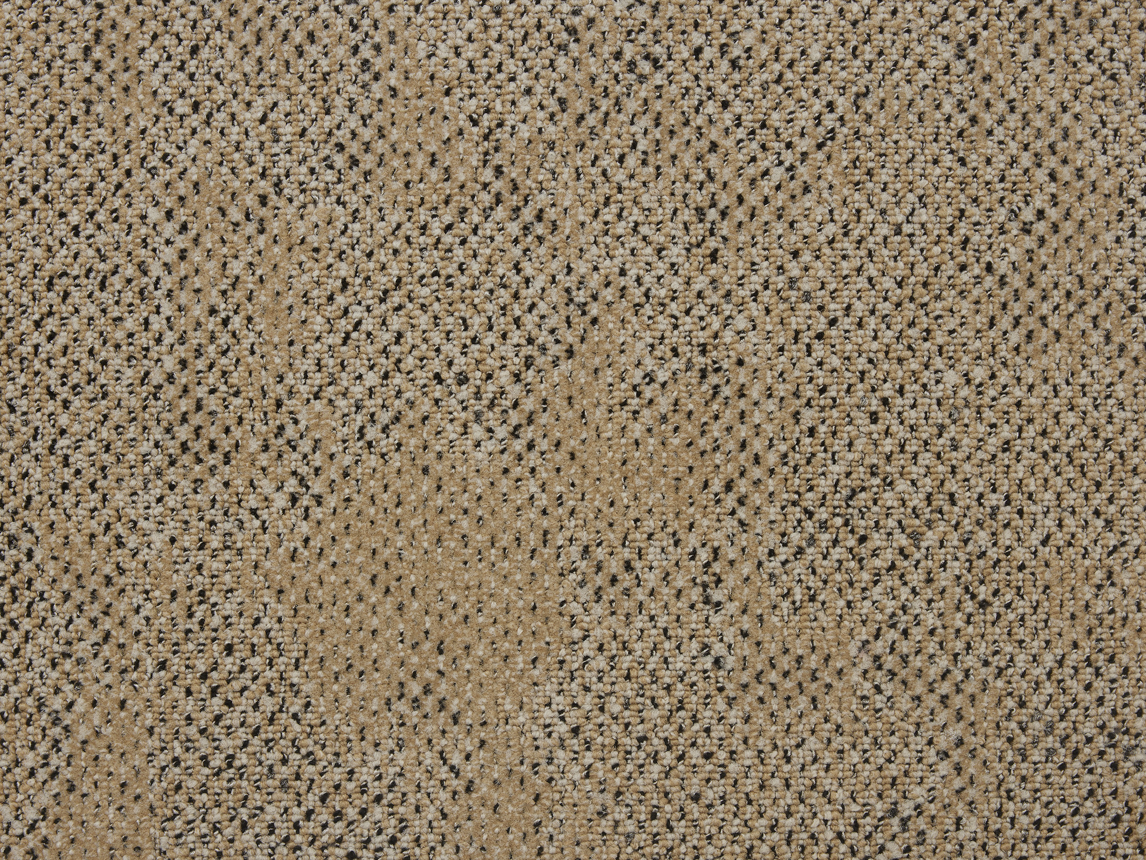 Boro - Image 14
