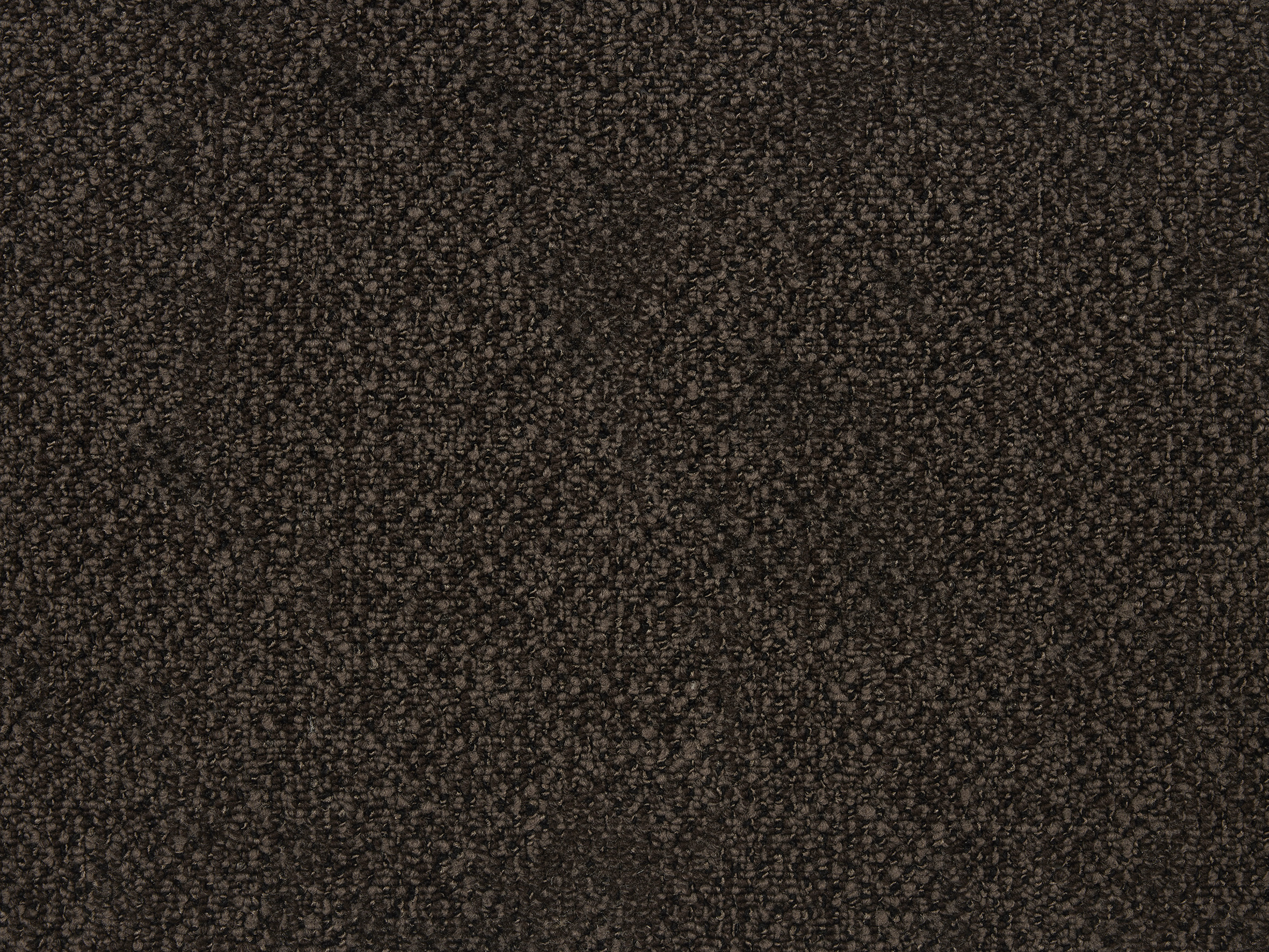 Boro - Image 13