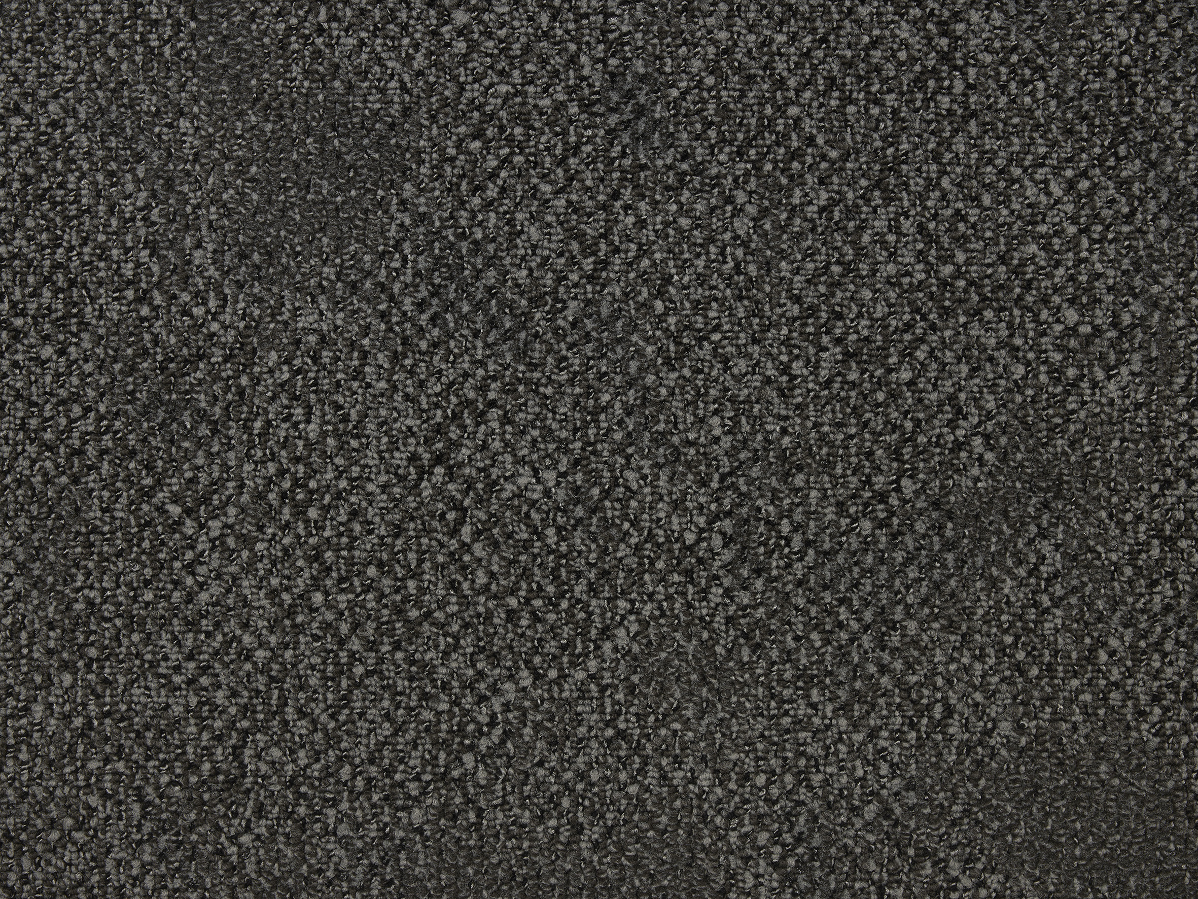 Boro - Image 11