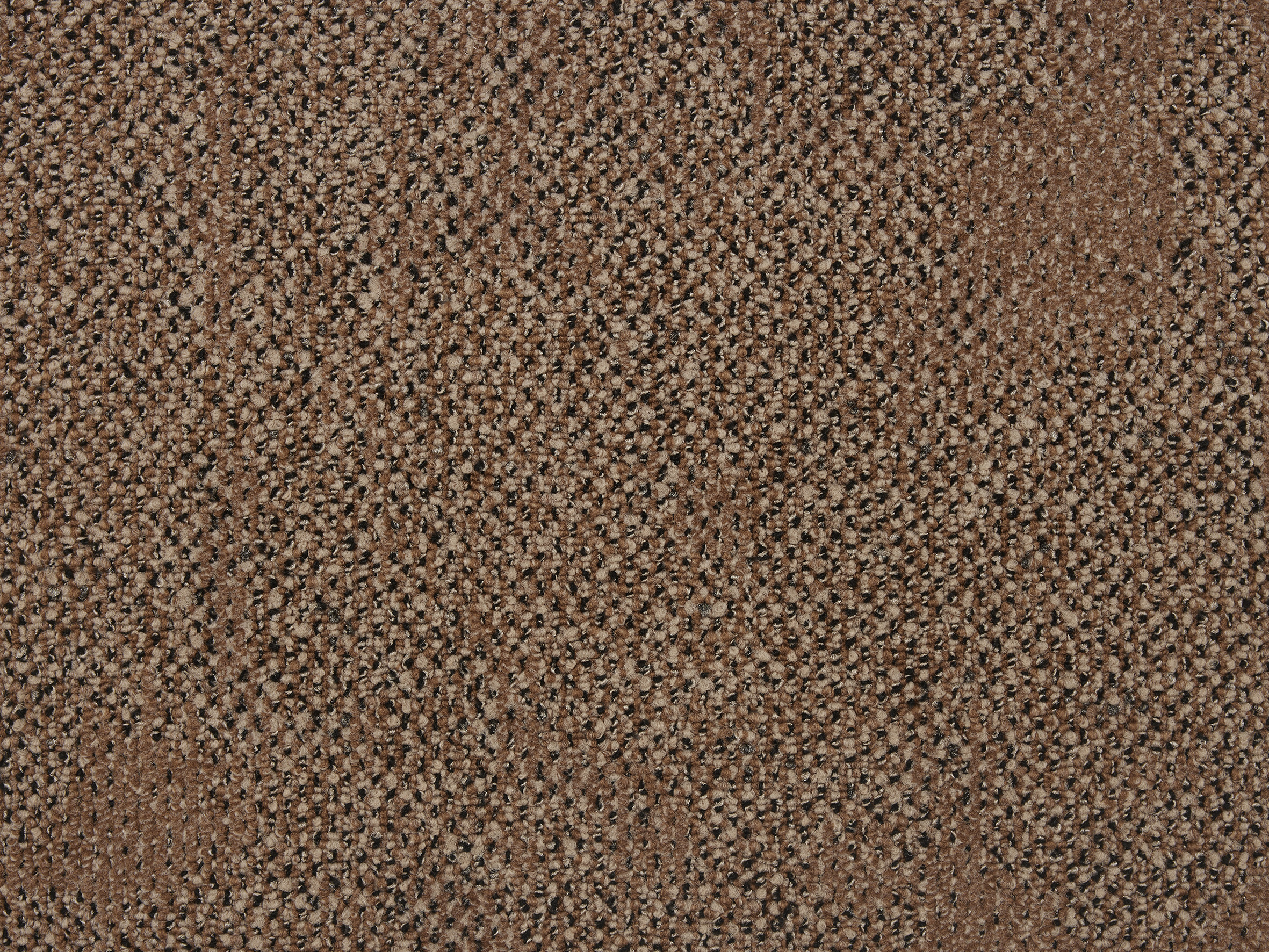 Boro - Image 9