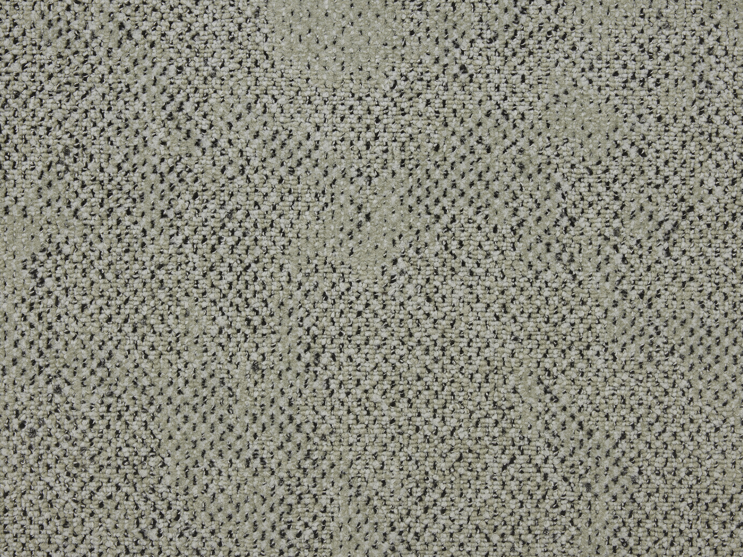 Boro - Image 8