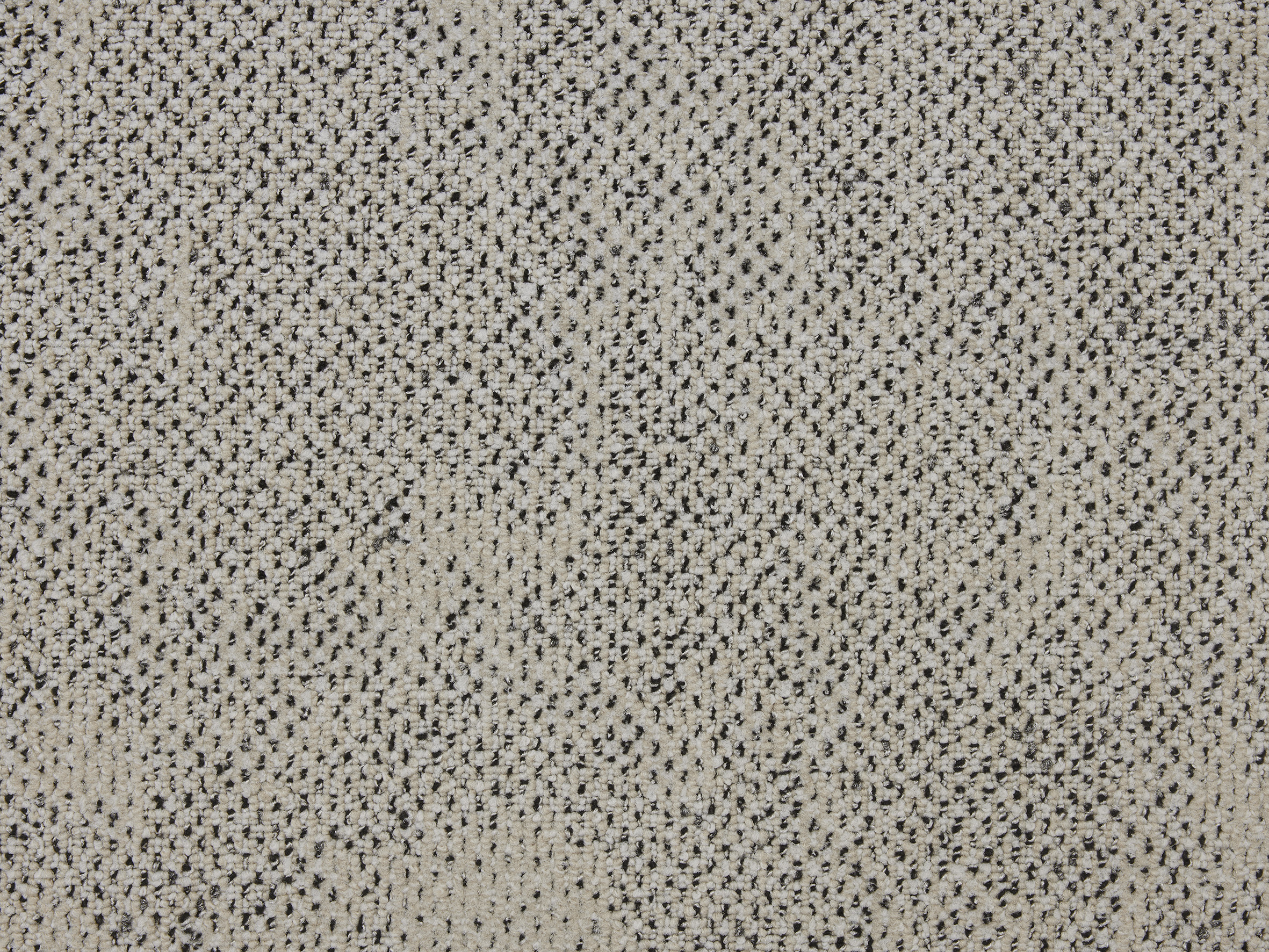 Boro - Image 7