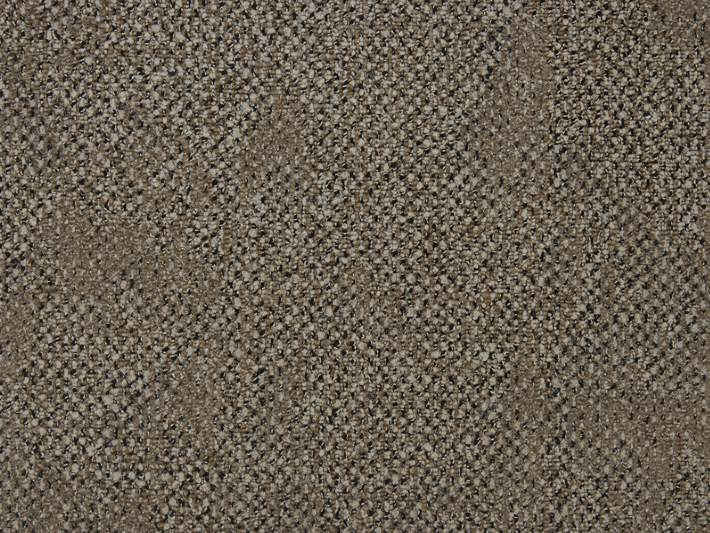 Boro - Image 5