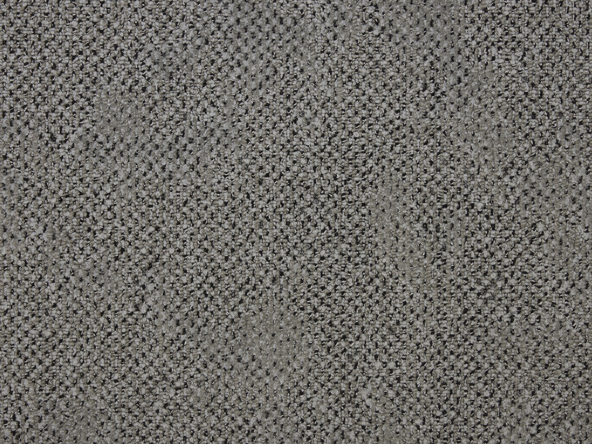 Boro - Image 4