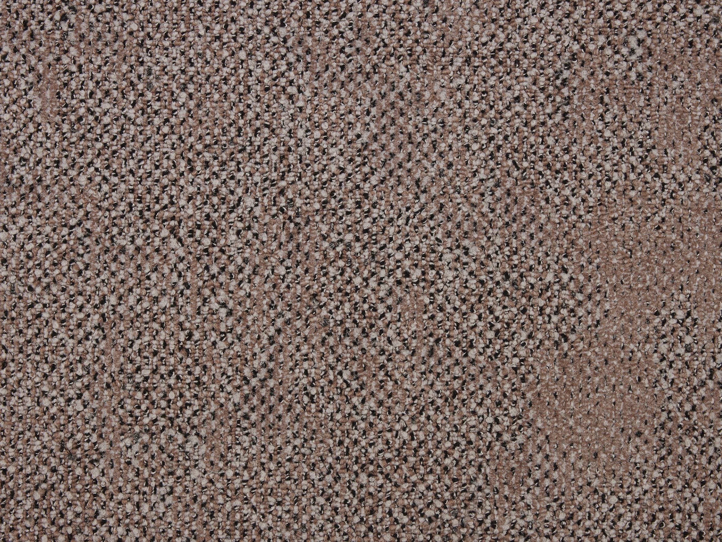 Boro - Image 3
