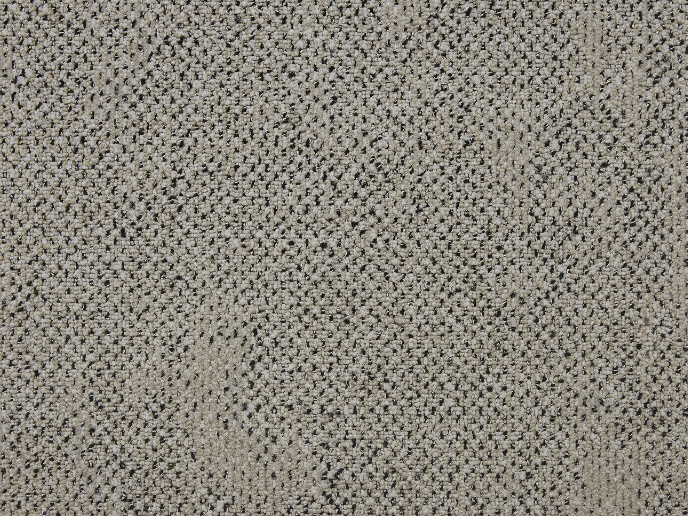Boro - Image 2