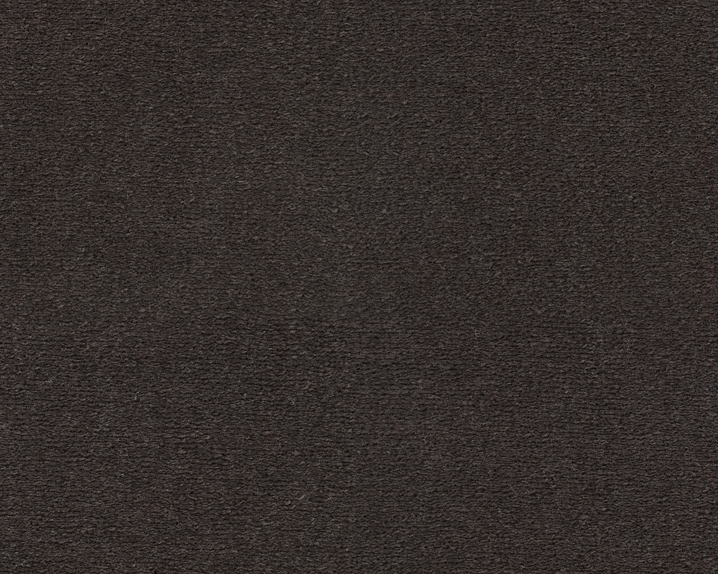 Emma - Image 20