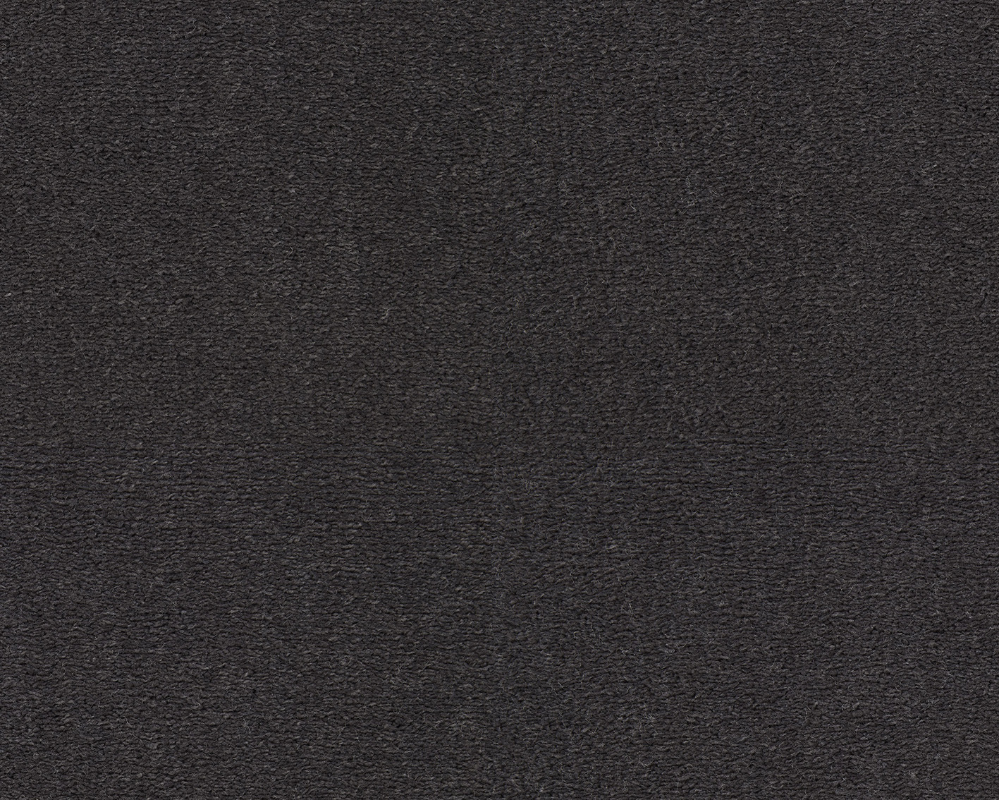 Emma - Image 18