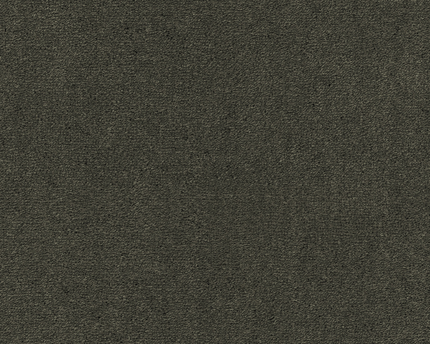 Emma - Image 17