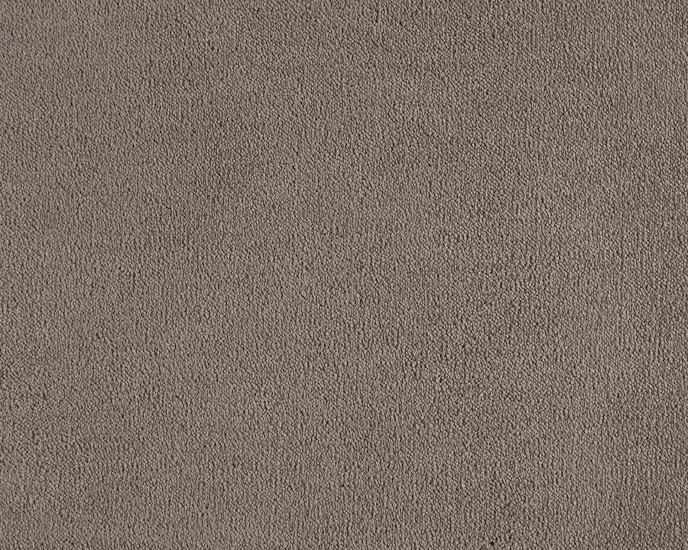 Emma - Image 15