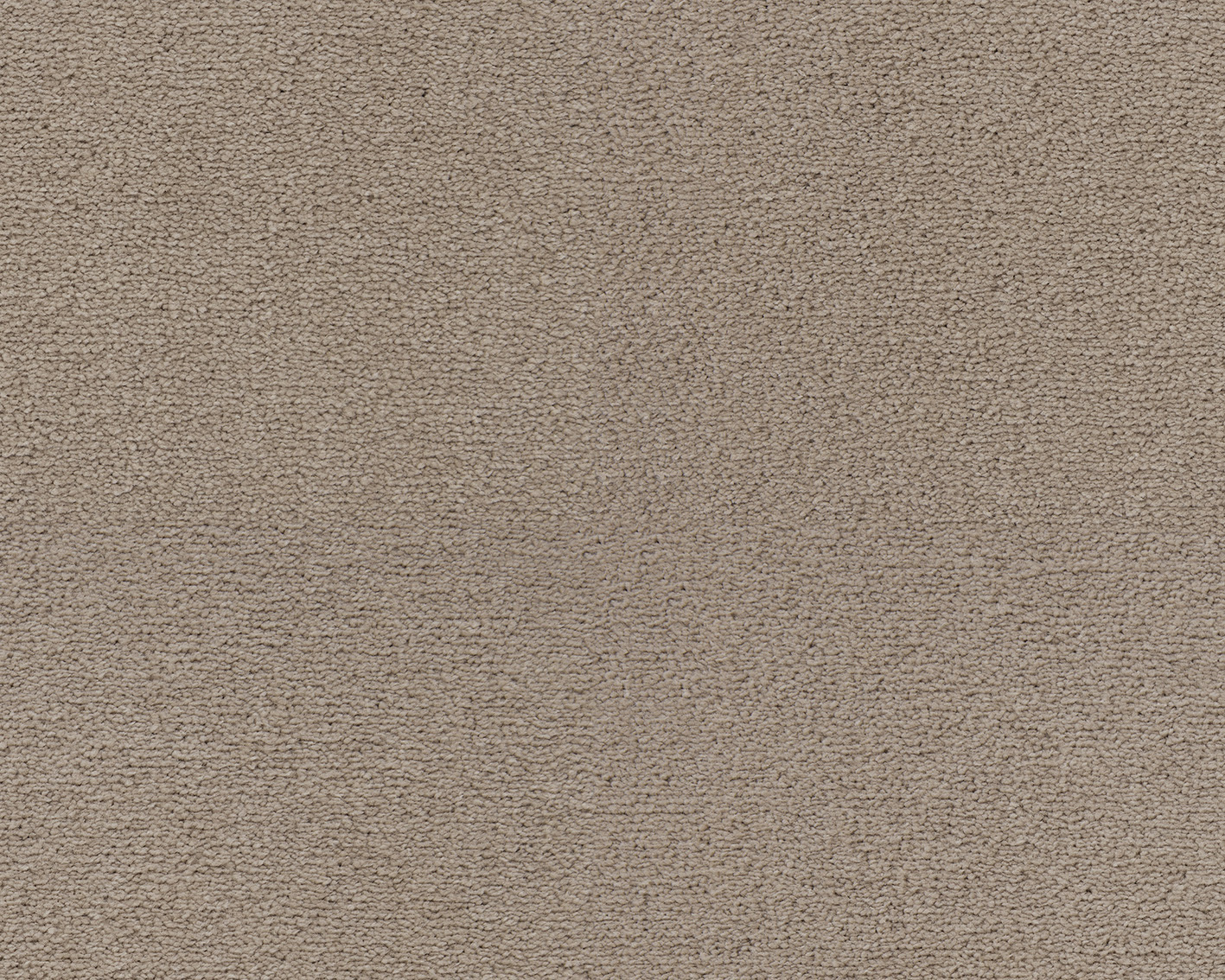 Emma - Image 11