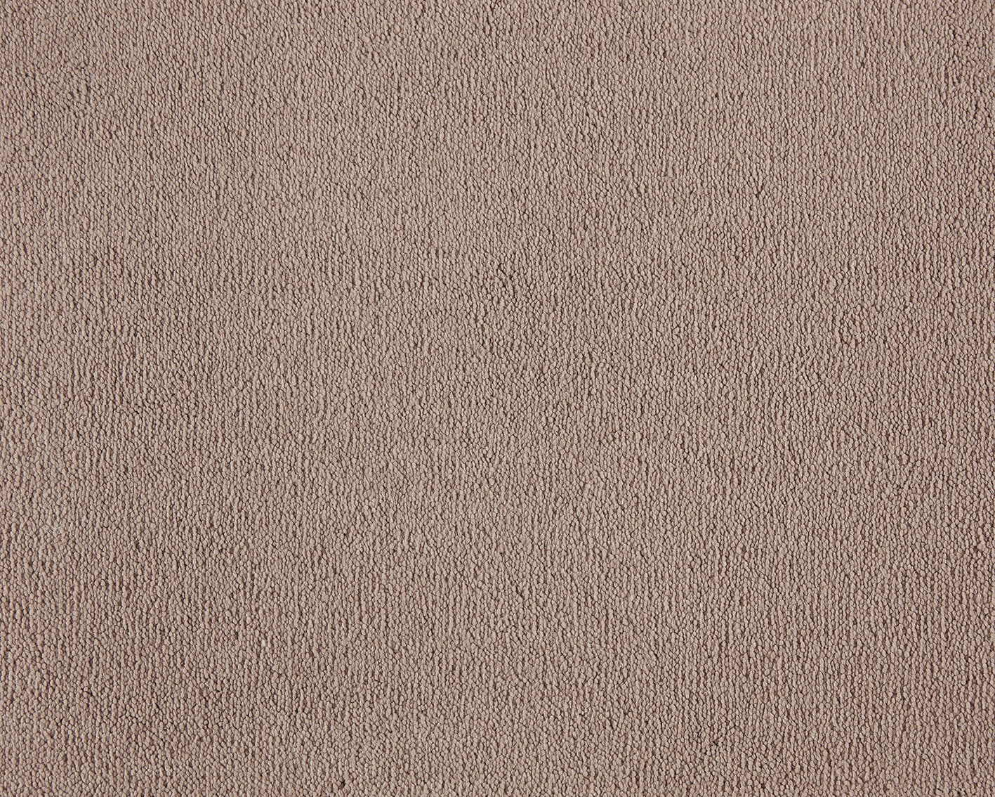 Emma - Image 10