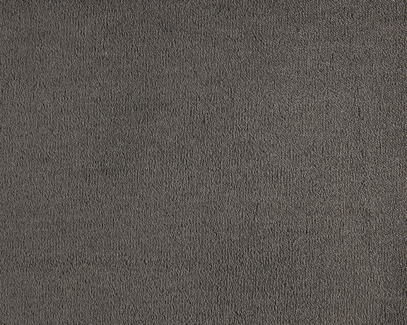 Emma - Image 8