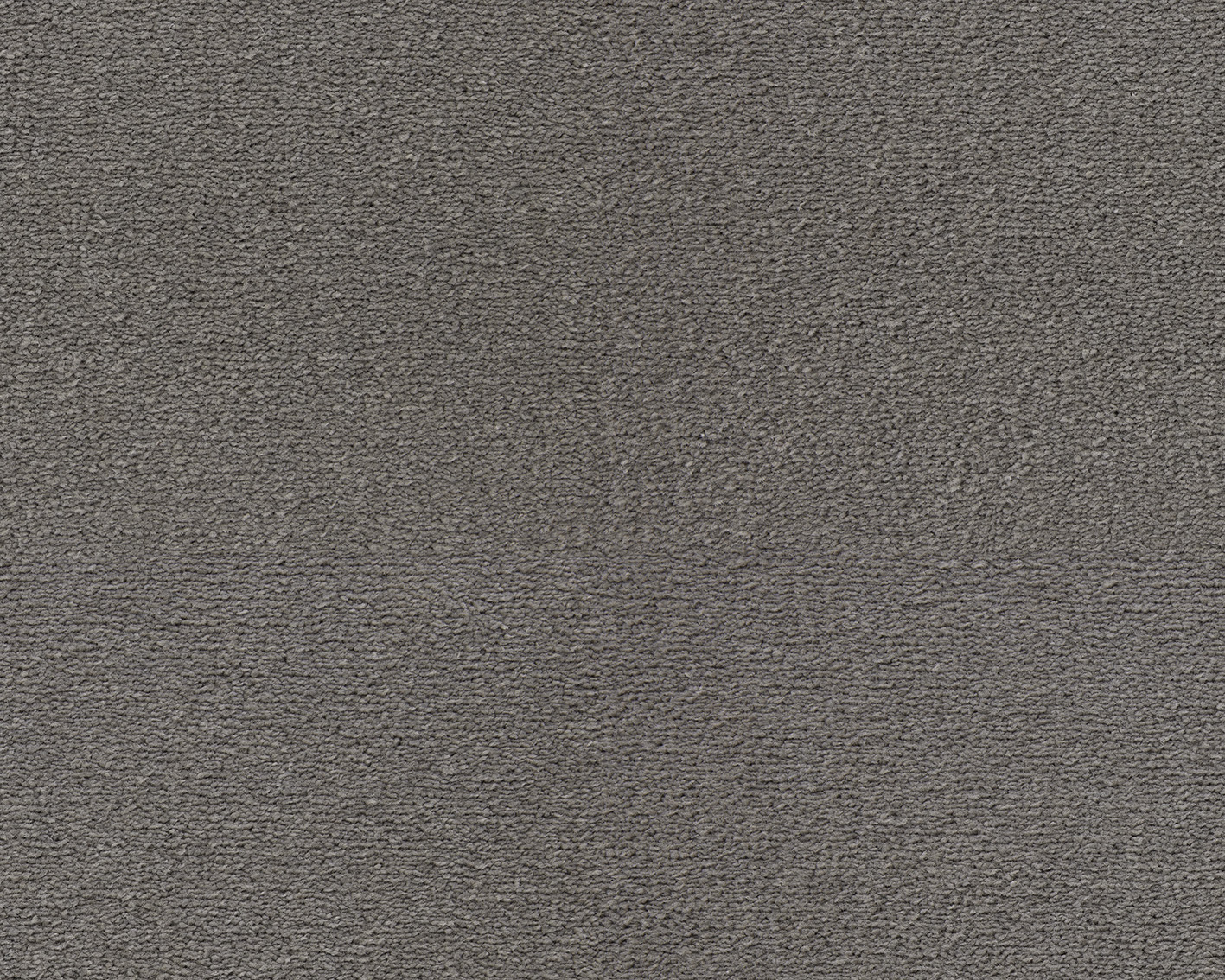 Emma - Image 5