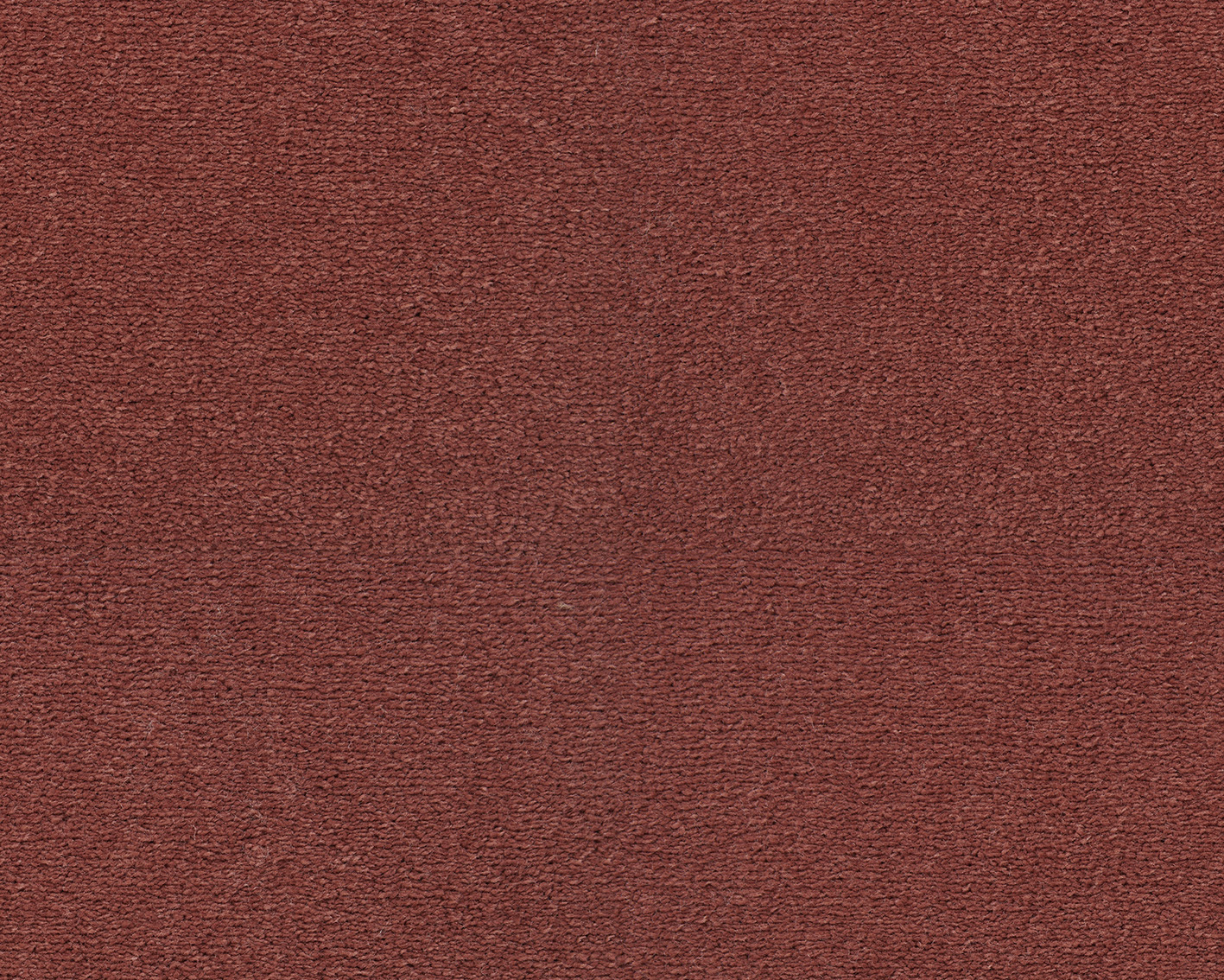 Emma - Image 3
