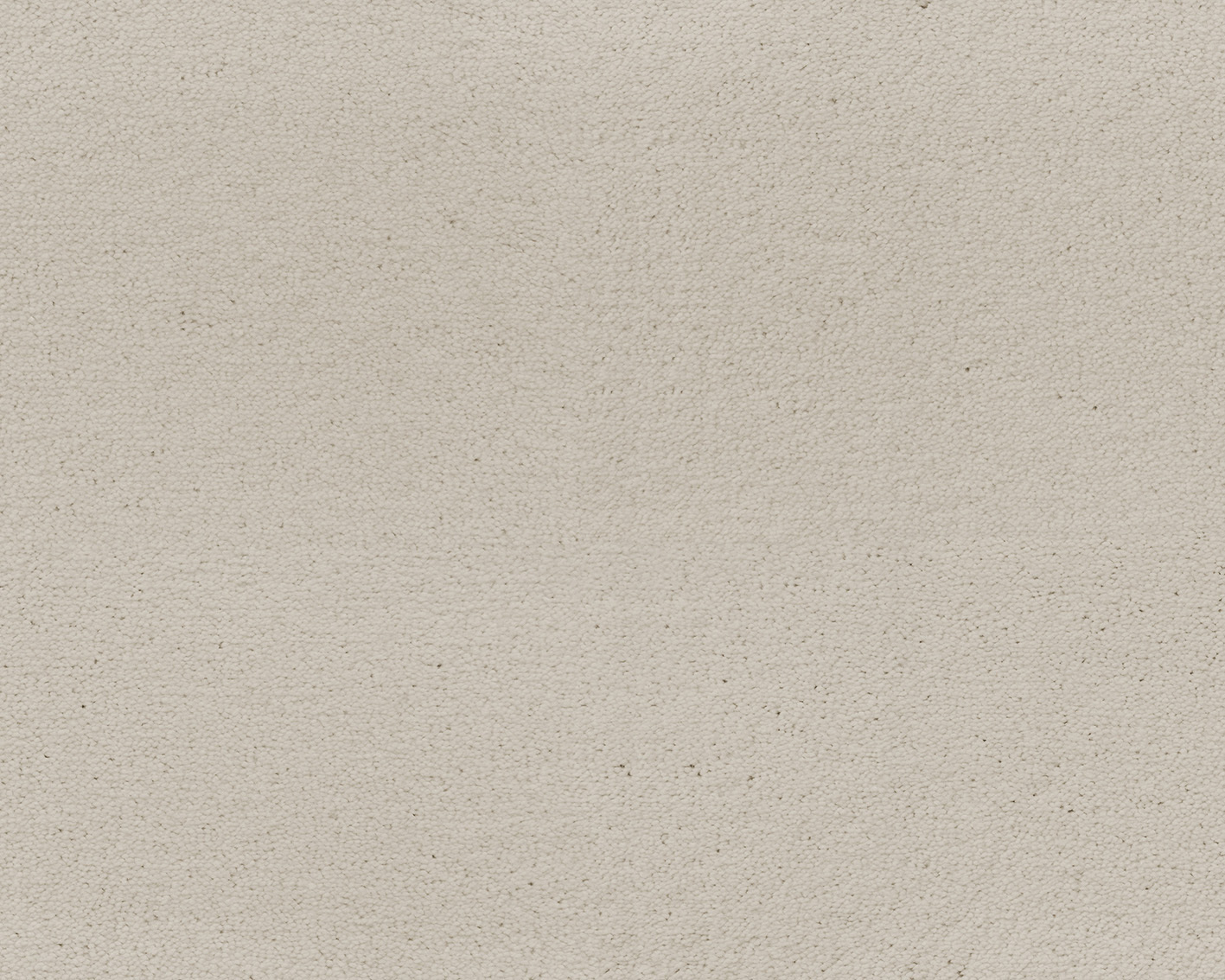 Emma - Image 2